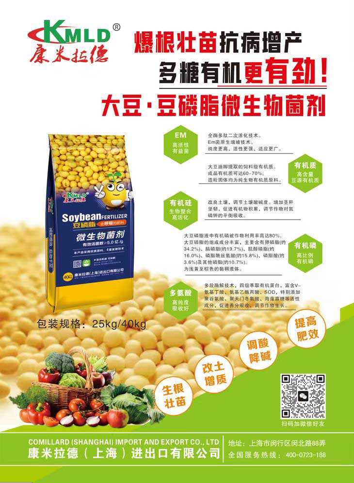 ��ҳ����